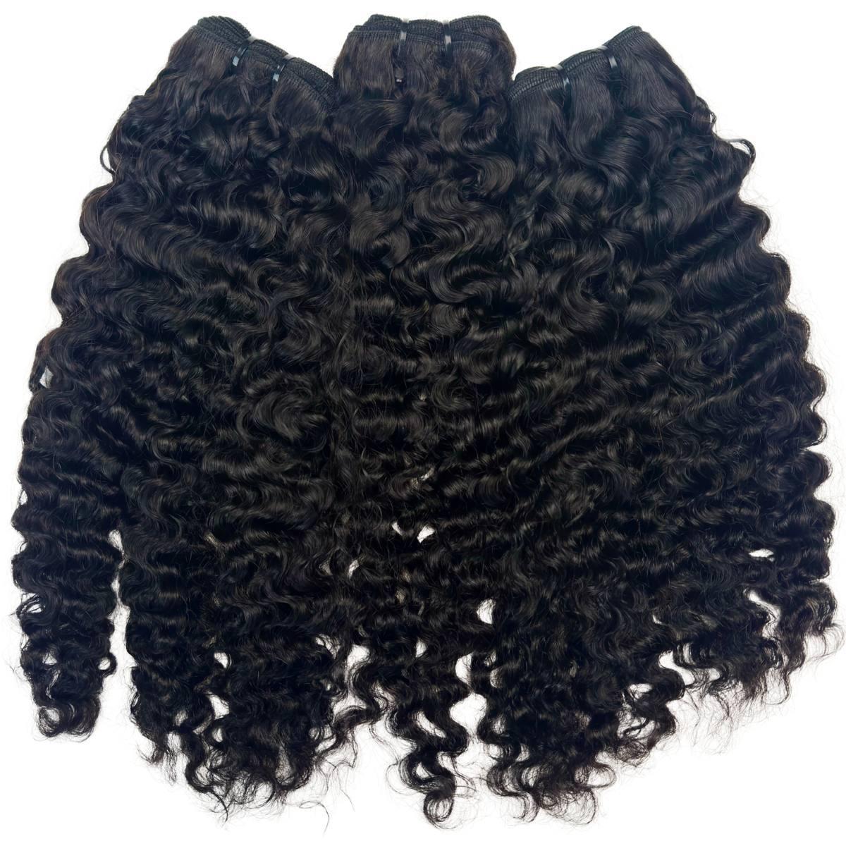 Burmese Curly 