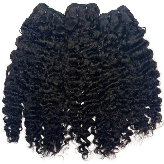 Burmese Curly 