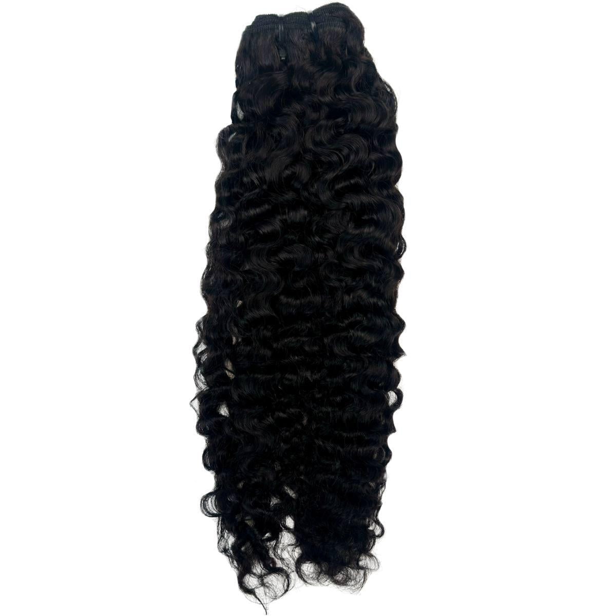 Burmese Curly 