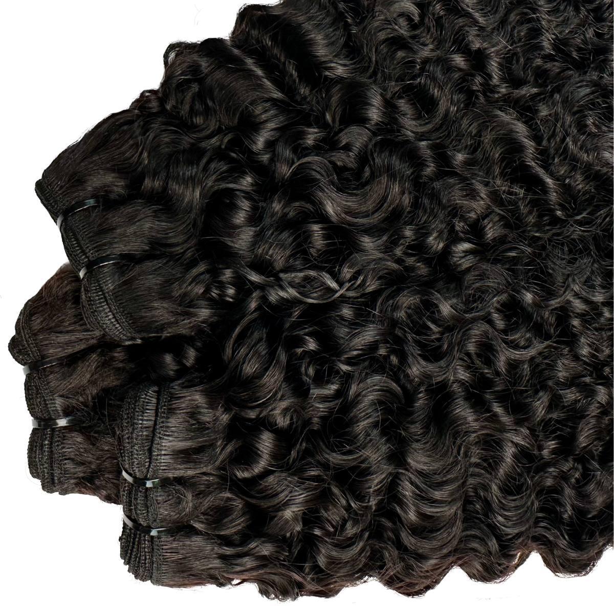 Burmese Curly 
