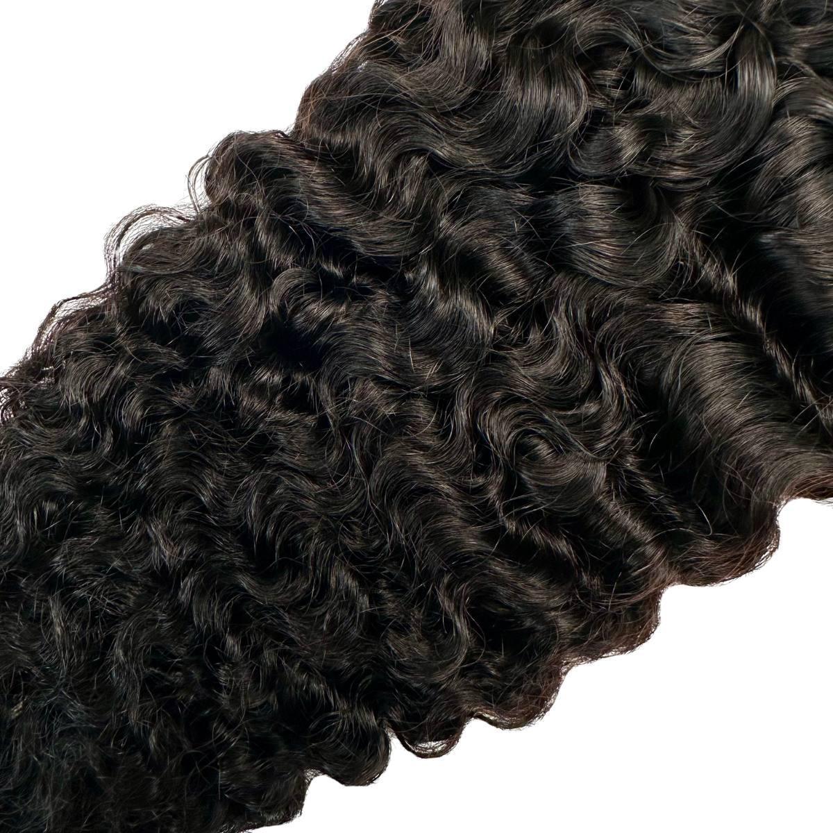 Burmese Curly 