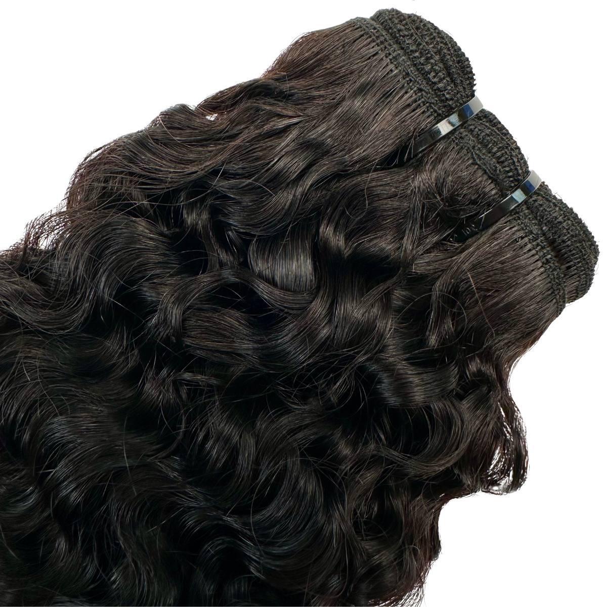 Burmese Curly 