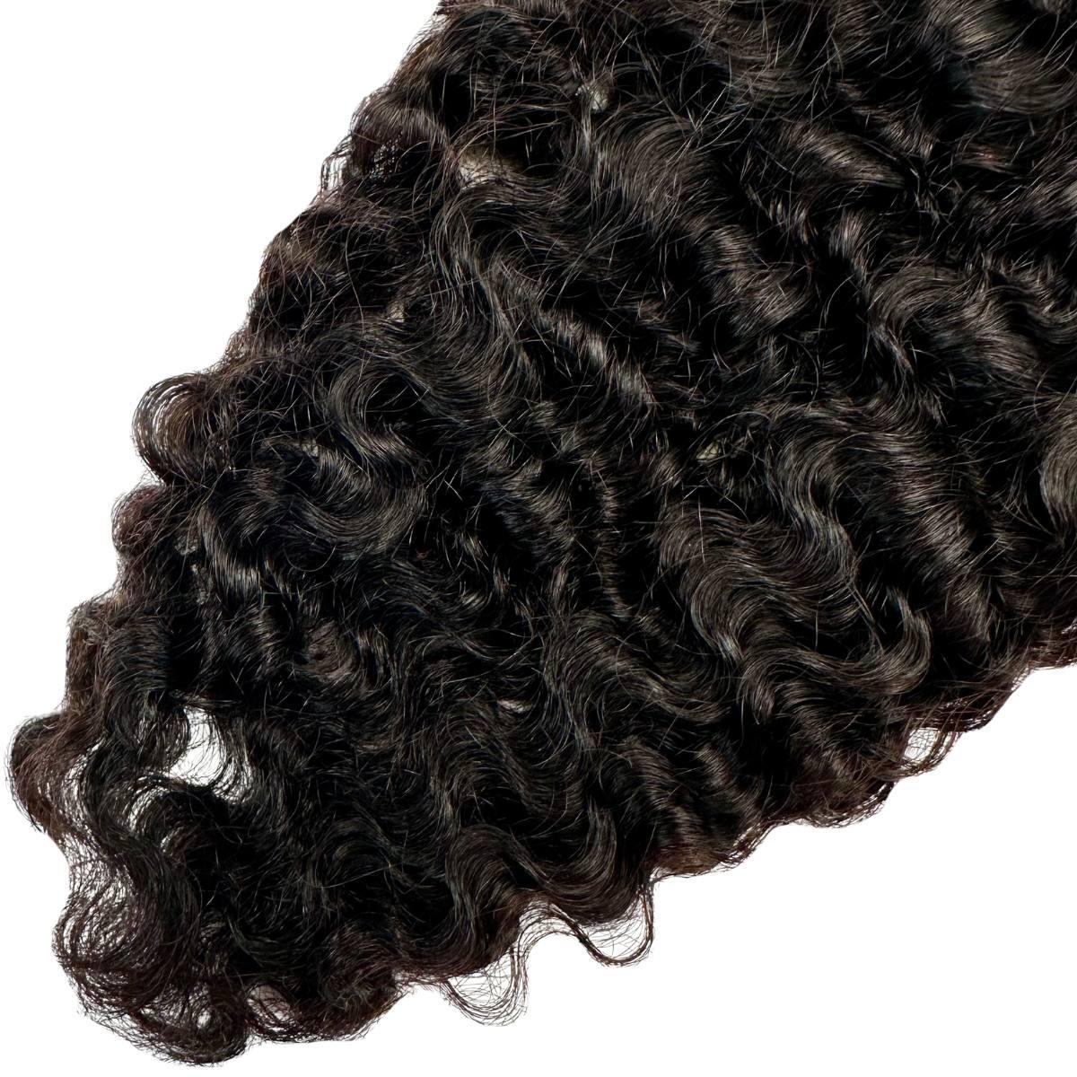 Burmese Curly 